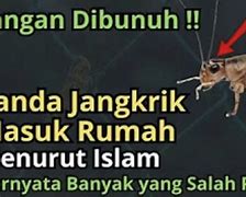 Didalam Rumah Ada Suara Jangkrik Pertanda Apa